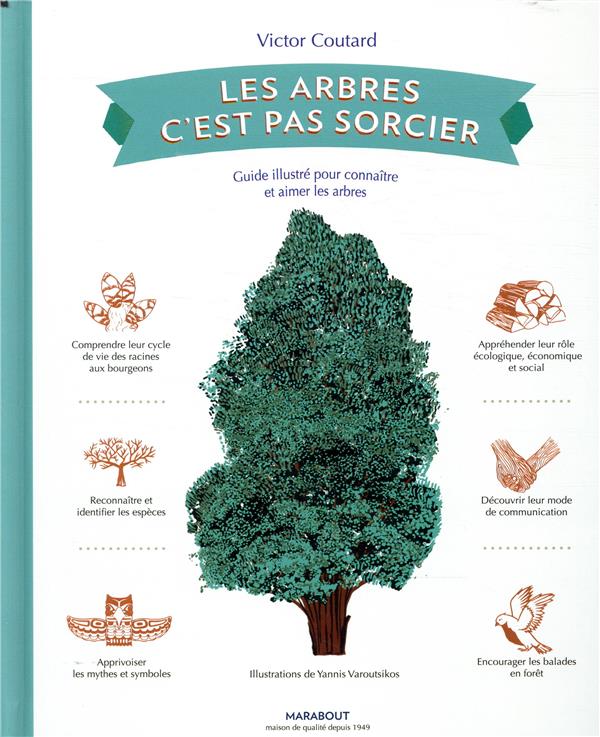 - LES ARBRES C'EST PAS SORCIER - GUIDE ILLUSTRE POUR CONNAITRE ET AIMER LES ARBRES - LES ARBRES C'EST PAS SORCIER - GUIDE ILLUSTRE POUR CONNAITRE ET AIMER LES ARBRES